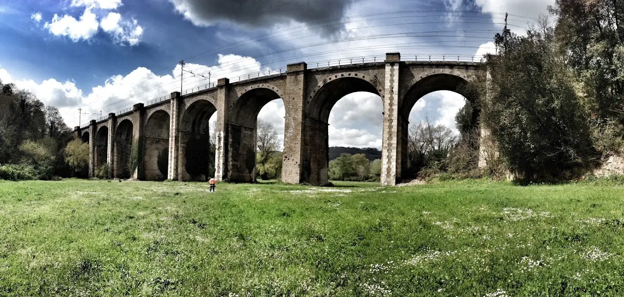 Miglioramento sismico e consolidamento di viadotto storico a 12 campate